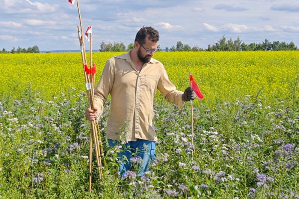 Zahájení projektu: Racionalizace využití nektarodárných biopásů pro podporu biodiverzity na orné půdě