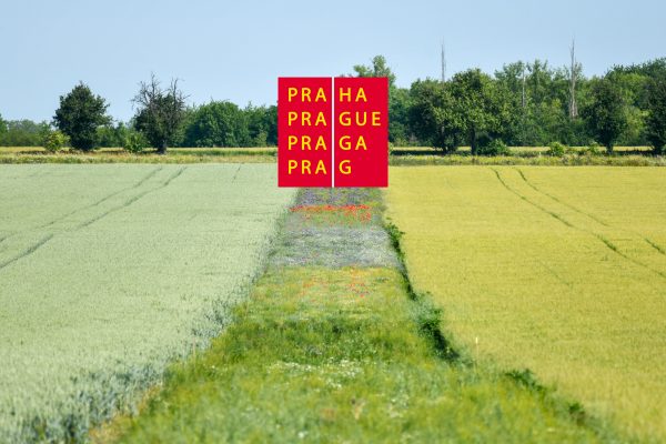 Město Praha bude podporovat naše biopásy i v roce 2026